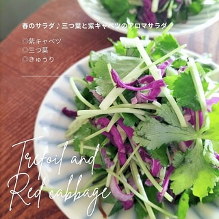 春のサラダ♩三つ葉と紫キャベツのサラダ